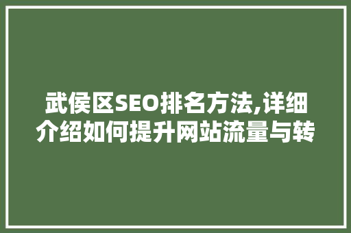 武侯区SEO排名方法,详细介绍如何提升网站流量与转化率