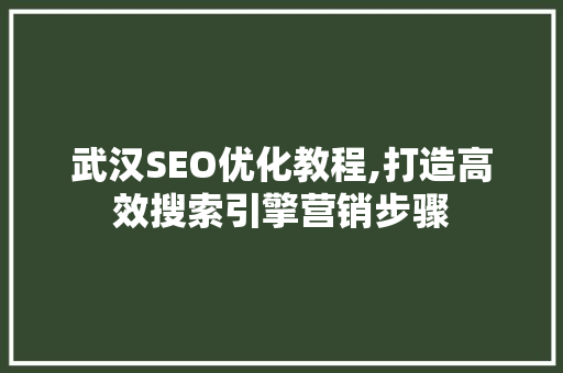 武汉SEO优化教程,打造高效搜索引擎营销步骤