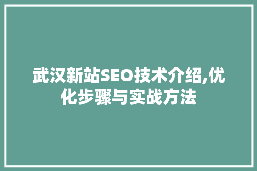 武汉新站SEO技术介绍,优化步骤与实战方法