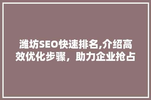 潍坊SEO快速排名,介绍高效优化步骤，助力企业抢占市场先机