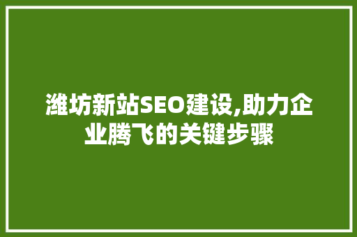 潍坊新站SEO建设,助力企业腾飞的关键步骤