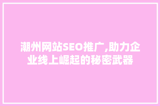 潮州网站SEO推广,助力企业线上崛起的秘密武器