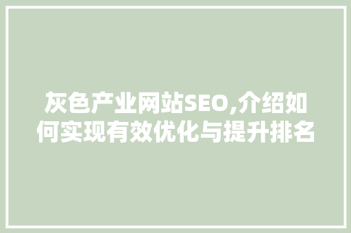 灰色产业网站SEO,介绍如何实现有效优化与提升排名