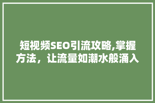 短视频SEO引流攻略,掌握方法，让流量如潮水般涌入