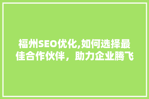 福州SEO优化,如何选择最佳合作伙伴，助力企业腾飞