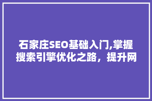 石家庄SEO基础入门,掌握搜索引擎优化之路，提升网站排名