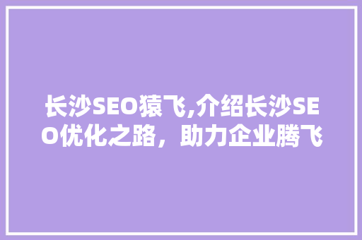 长沙SEO猿飞,介绍长沙SEO优化之路，助力企业腾飞