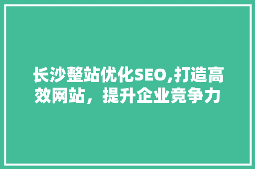 长沙整站优化SEO,打造高效网站，提升企业竞争力  第1张