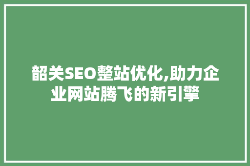 韶关SEO整站优化,助力企业网站腾飞的新引擎