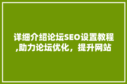 详细介绍论坛SEO设置教程,助力论坛优化，提升网站流量