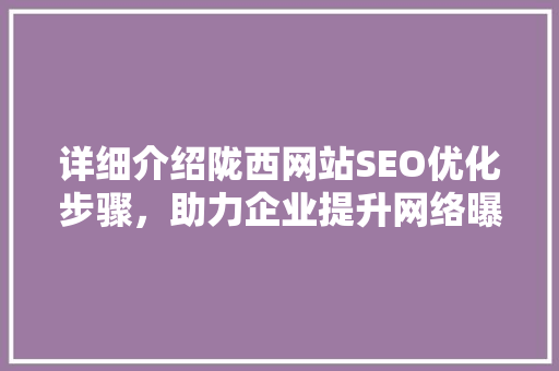 详细介绍陇西网站SEO优化步骤，助力企业提升网络曝光度
