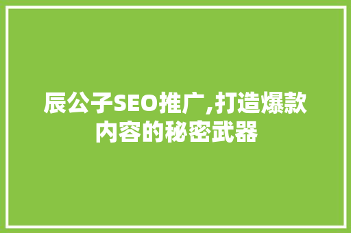 辰公子SEO推广,打造爆款内容的秘密武器