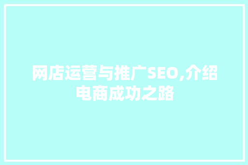 网店运营与推广SEO,介绍电商成功之路