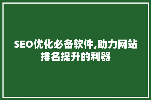 SEO优化必备软件,助力网站排名提升的利器