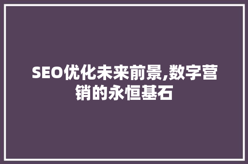SEO优化未来前景,数字营销的永恒基石