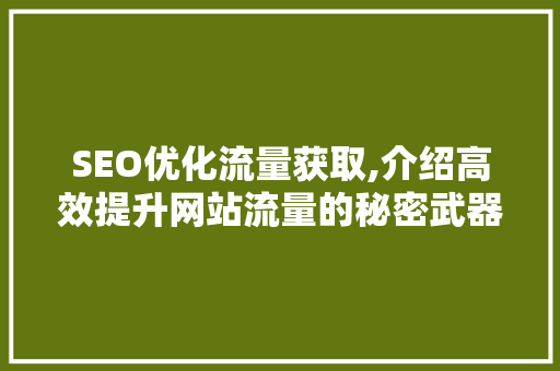 SEO优化流量获取,介绍高效提升网站流量的秘密武器