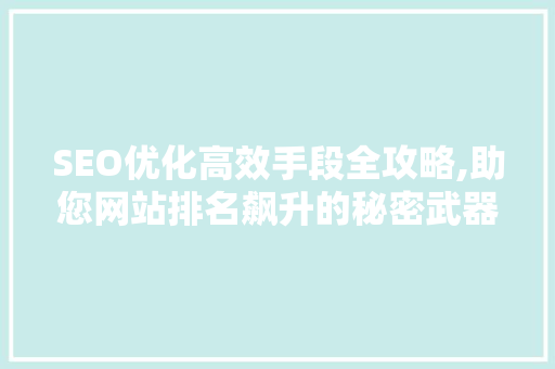 SEO优化高效手段全攻略,助您网站排名飙升的秘密武器