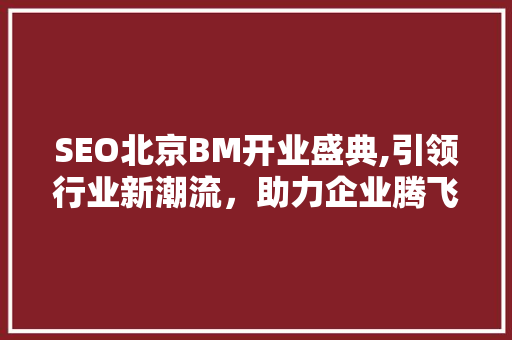 SEO北京BM开业盛典,引领行业新潮流，助力企业腾飞