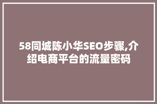 58同城陈小华SEO步骤,介绍电商平台的流量密码