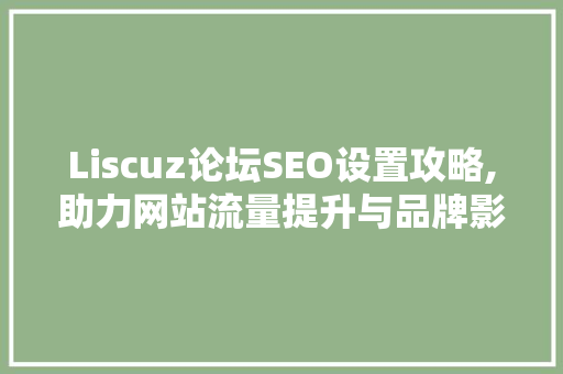 Liscuz论坛SEO设置攻略,助力网站流量提升与品牌影响力扩大