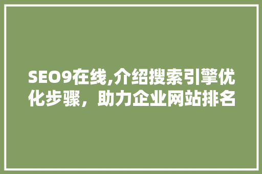 SEO9在线,介绍搜索引擎优化步骤，助力企业网站排名提升