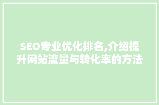 SEO专业优化排名,介绍提升网站流量与转化率的方法