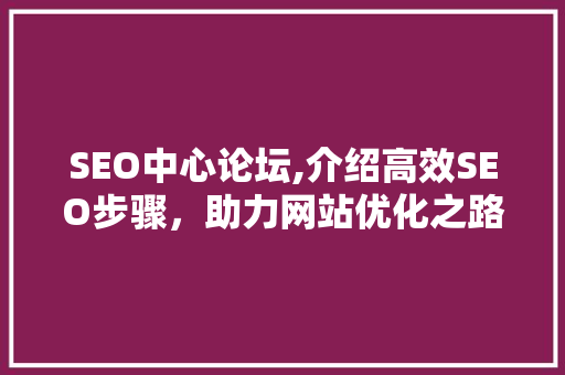 SEO中心论坛,介绍高效SEO步骤，助力网站优化之路