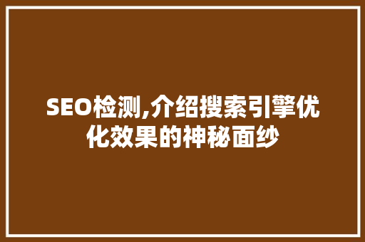SEO检测,介绍搜索引擎优化效果的神秘面纱
