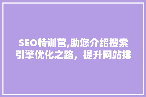 SEO特训营,助您介绍搜索引擎优化之路，提升网站排名
