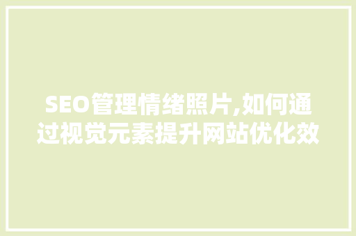 SEO管理情绪照片,如何通过视觉元素提升网站优化效果