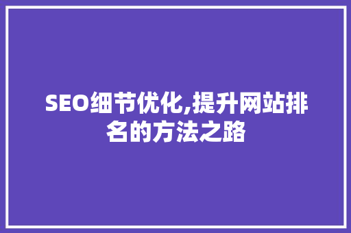 SEO细节优化,提升网站排名的方法之路