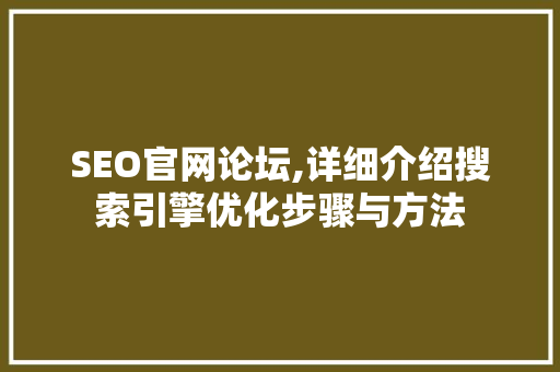 SEO官网论坛,详细介绍搜索引擎优化步骤与方法