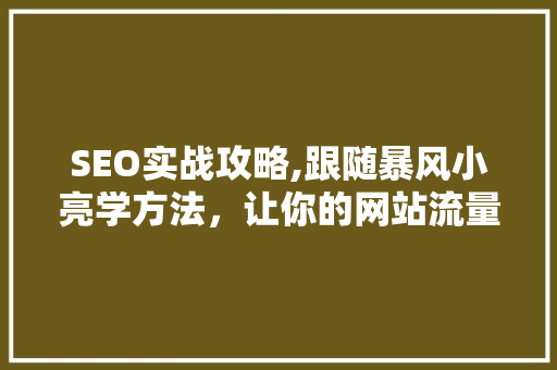 SEO实战攻略,跟随暴风小亮学方法，让你的网站流量翻倍！