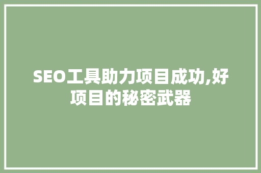 SEO工具助力项目成功,好项目的秘密武器