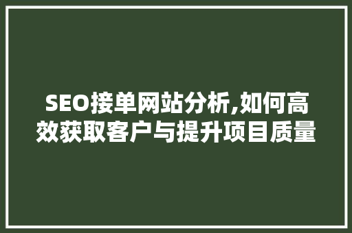SEO接单网站分析,如何高效获取客户与提升项目质量
