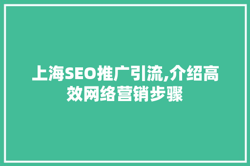 上海SEO推广引流,介绍高效网络营销步骤