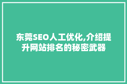 东莞SEO人工优化,介绍提升网站排名的秘密武器