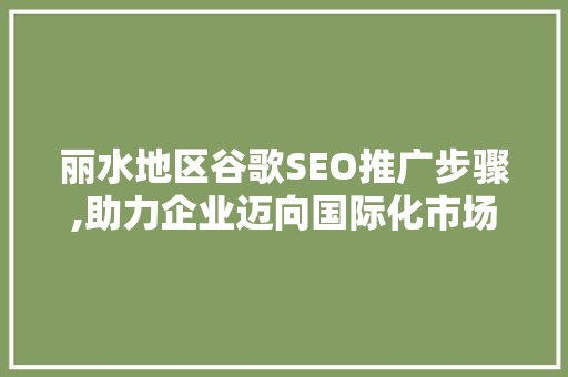 丽水地区谷歌SEO推广步骤,助力企业迈向国际化市场