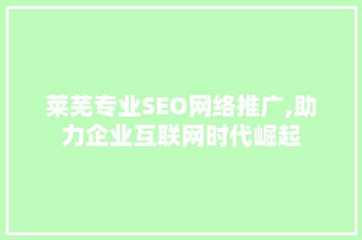 莱芜专业SEO网络推广,助力企业互联网时代崛起