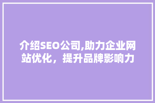 介绍SEO公司,助力企业网站优化，提升品牌影响力