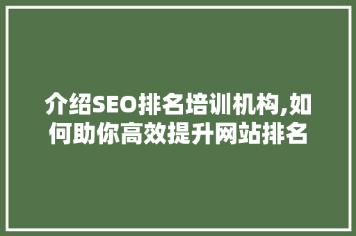 介绍SEO排名培训机构,如何助你高效提升网站排名