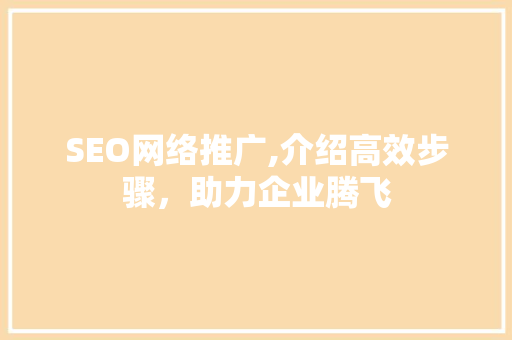 SEO网络推广,介绍高效步骤，助力企业腾飞