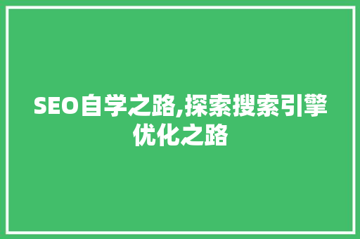 SEO自学之路,探索搜索引擎优化之路