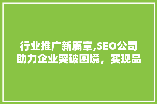 行业推广新篇章,SEO公司助力企业突破困境，实现品牌崛起  第1张