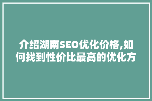 介绍湖南SEO优化价格,如何找到性价比最高的优化方法