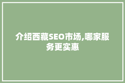 介绍西藏SEO市场,哪家服务更实惠