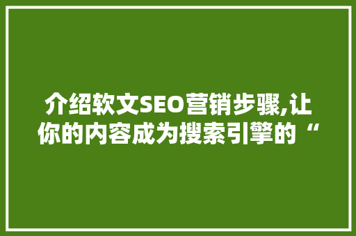介绍软文SEO营销步骤,让你的内容成为搜索引擎的“香饽饽”