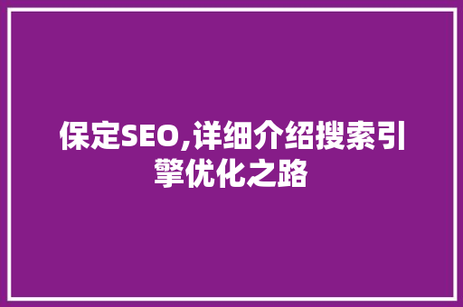 保定SEO,详细介绍搜索引擎优化之路