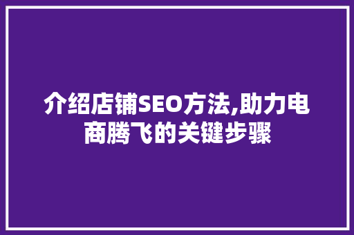介绍店铺SEO方法,助力电商腾飞的关键步骤