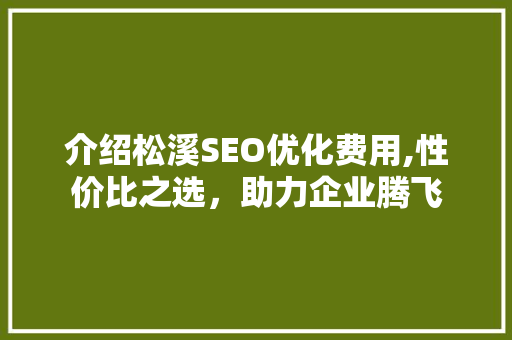 介绍松溪SEO优化费用,性价比之选，助力企业腾飞